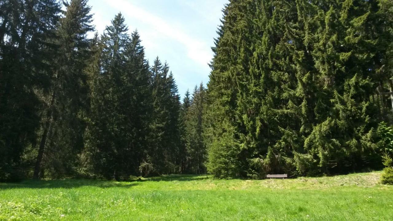 Ferienhaus Bad Hundertpfund Grossbreitenbach Εξωτερικό φωτογραφία