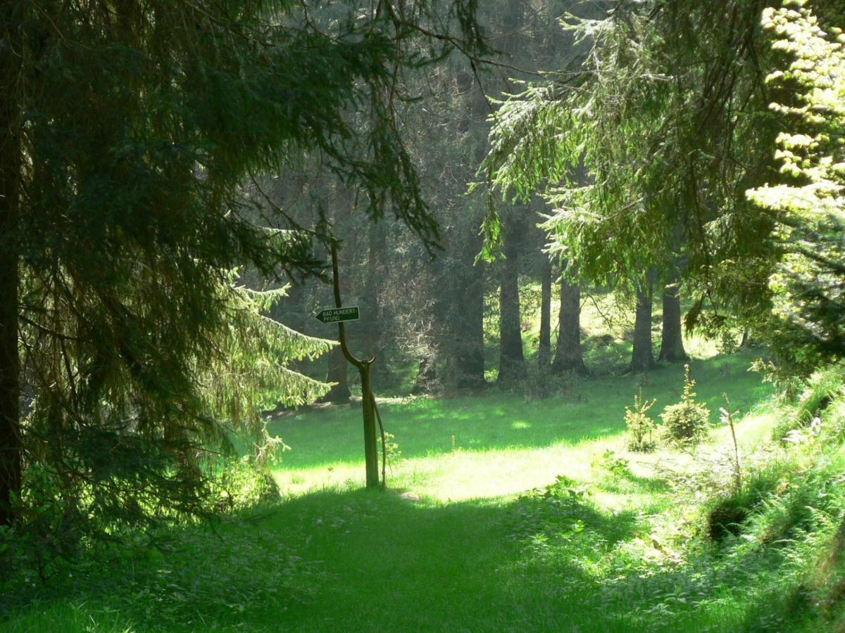 Ferienhaus Bad Hundertpfund Grossbreitenbach Εξωτερικό φωτογραφία
